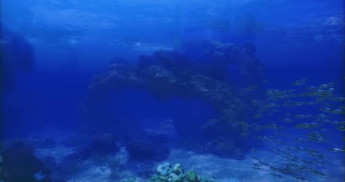Korallen- und Meereslebewesen in einer leuchtend blauen Unterwasserlandschaft
