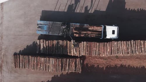 Truck Unloading And Piling Logs At Sawmill. aerial topdown shot