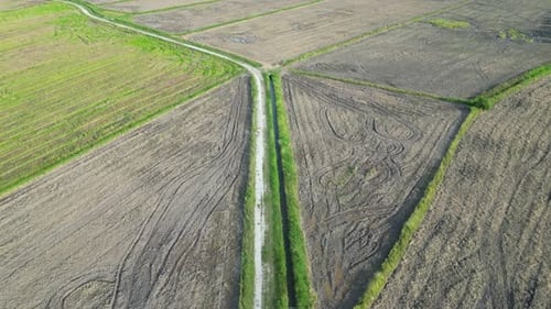 Aerial serene evening rural path