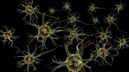 Detailed view of neurons on black background for science projects