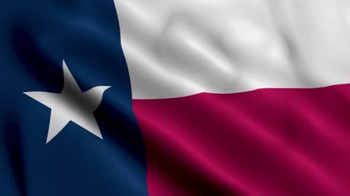 Realistic Waving Texas Flag Loop Animation