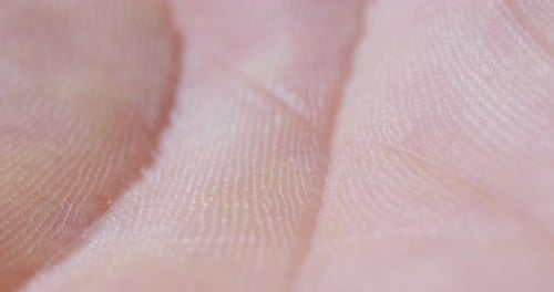 Extreme Close Up View of Skin Texture