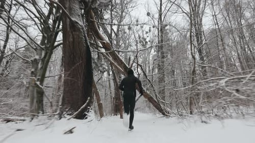 Jogger in Sport Clothes Training Among Snowy Forest
