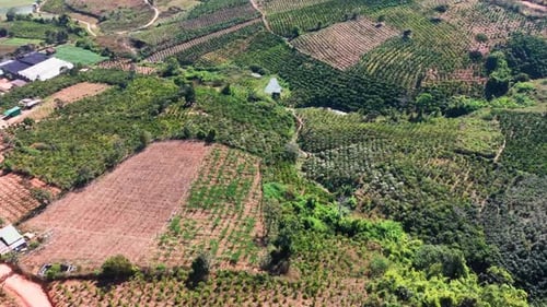 Explorez les collines de Samten à Dalat, au Vietnam, avec vue sur les terres agricoles et les sentiers sinueux.