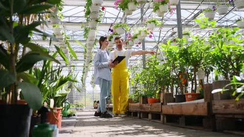 Adults Looking at Plants in a Greenhouse