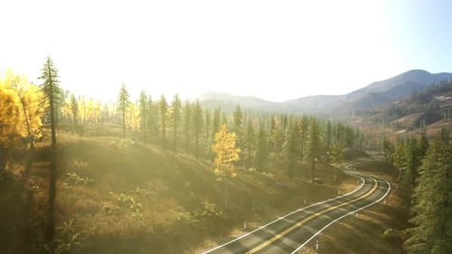 Sonnenbeschienene kurvenreiche Straße durch herbstliche Bäume in einer Berglandschaft