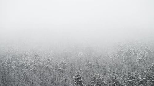 Winter Cold Weather Snowfall