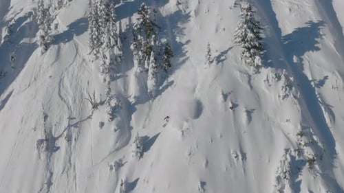 Schnelles Skifahren auf der frischen Piste