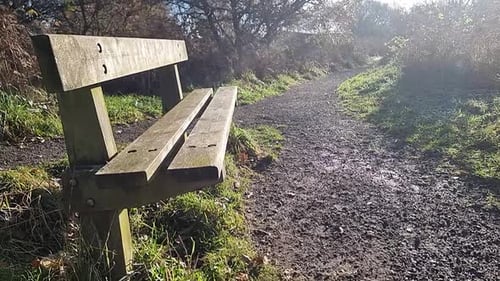 Empty park bench in autumnal woodland environment in golden hour sunlight
