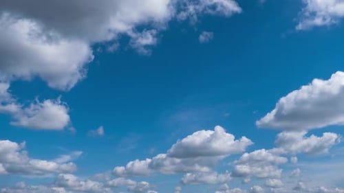Timelapse of Soft White Cumulus Clouds Move in the Blue Sky