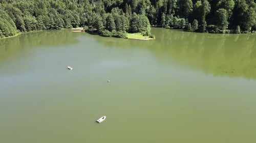 boat green lake forest nature