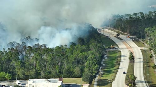Fire Department Firetrucks Extinguishing Wildfire Burning Severely in Florida Jungle Woods Emergency