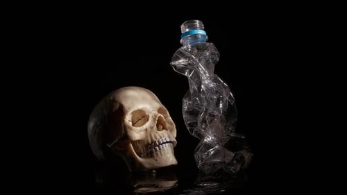 Skull and Plastic Bottle on Reflective Surface