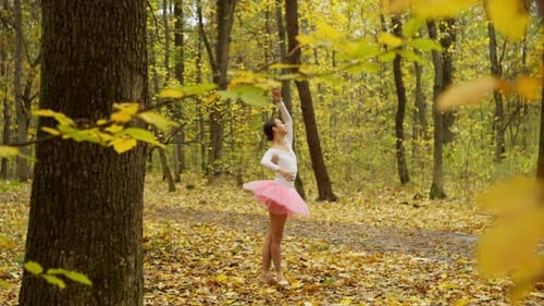 A Woman in a Ballet Tutu Dances in the Middle of a Forest with Yellow Leaves