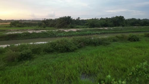 Move over wetland with green bush grassland