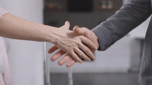 Business Handshake Deal