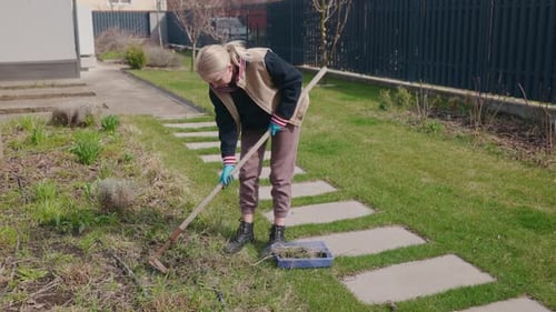 Middleaged Woman Crouches By an Unkempt Garden Bed Determinedly Pulling Out Dense Weeds with Gloved