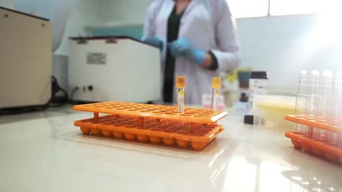 Lab Worker Removes Test Tubes From Rack