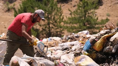 Worker Collecting Garbage in Landfill