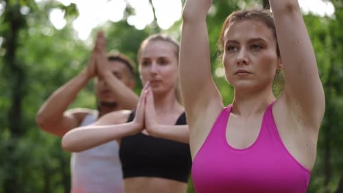 Adults Doing Yoga Together in a Green Park