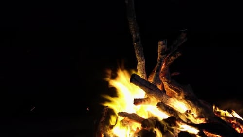 Lagerfeuer, brennende Holzflamme, Nachtfeuer, Baumstämme, glühende Glut, dunkle, rustikale Wärme im Freien, Überlebensbrand