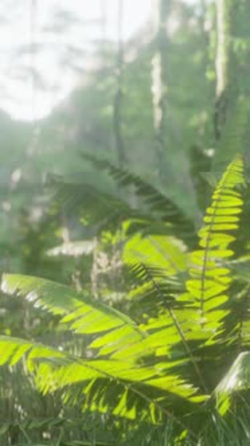 Morning Light in Beautiful Jungle Garden