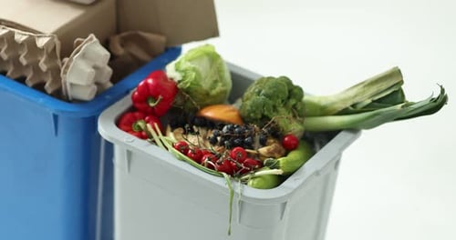 Food waste in recycling bins for composting