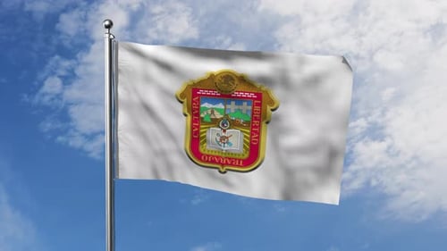 Mexican Chihuahua State Flag Waving Animation