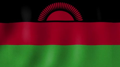 Malawi Flag Waving Realistic Loop Background