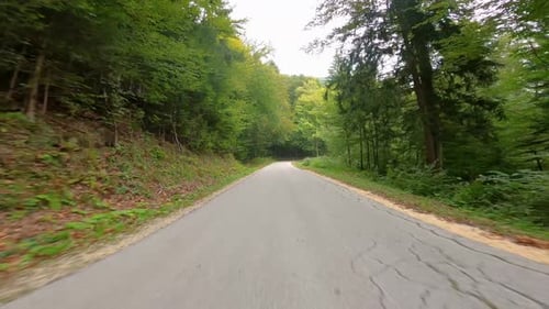 Driving car on road along the forest. POV shot from camera driving in forest.