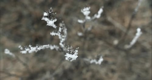 Gefrorenes, frostbedecktes Gras an einem kalten Wintermorgen in Filmmusik Zeitlupe.