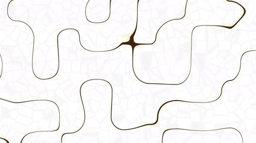 Fluid Organic Morphing Lines Abstract Motion Background