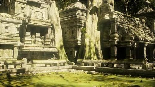 Ancient Cambodian Temple Overgrown with Trees and Moss During Golden Hour