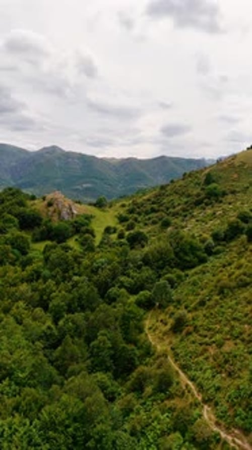 Amazing fresh lush greenery grows on the mountainous landscape.