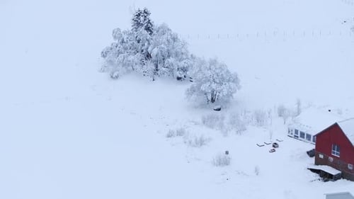 Snowy Landscape With Cabins And Snow Covered Trees In Indre Fosen, Norway - Aerial Drone Shot