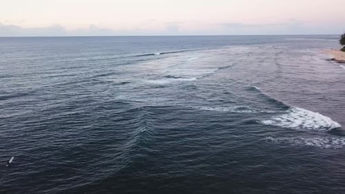 Drone Shot panning over Surfers out in the water off of the North Shore Coast of Oahu, Hawaii.