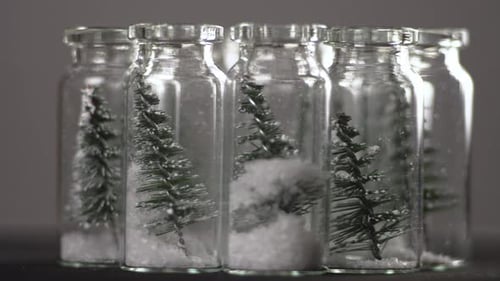 New Year Pine Trees in Testing Tubes Rotating Decoration for Xmas Celebrations Macro View Christmas