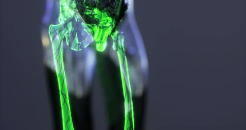 Neon Highlighted Visual of Human Skeletal Anatomy