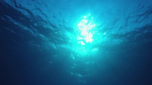 Tropical Blue Sea