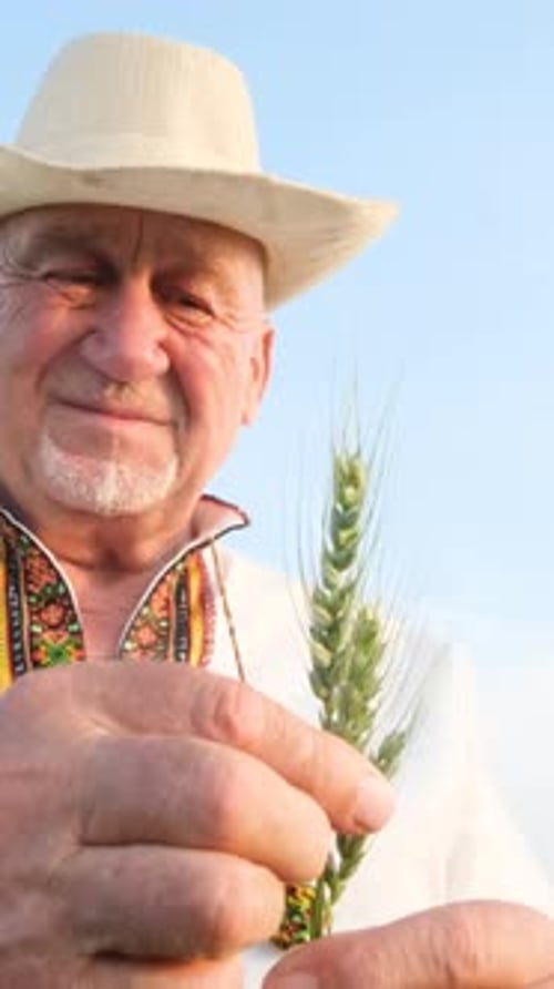 Man Holding Wheat in the Daytime