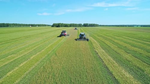 Aerial of Combines Working in the Field Harvesting Crops Gathering Season