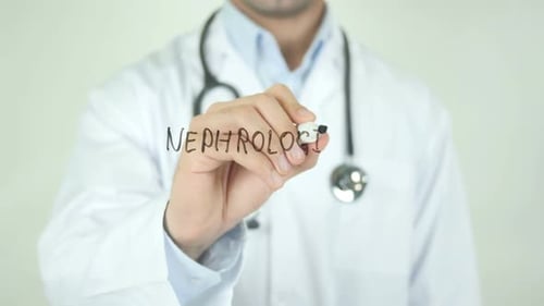 Nephrologist, Doctor Writing on Transparent Screen