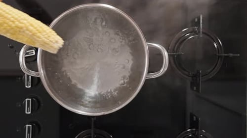 I lift the lid of the pot and drop two corn cobs into the boiling water on the gas stove.
