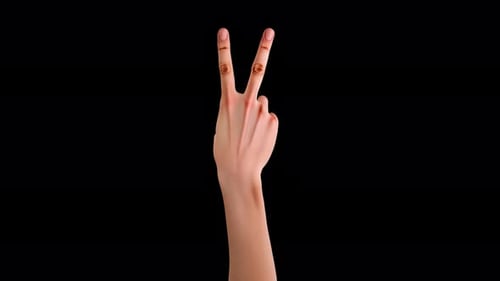Human Hand Gestures: Pointing and Peace Sign