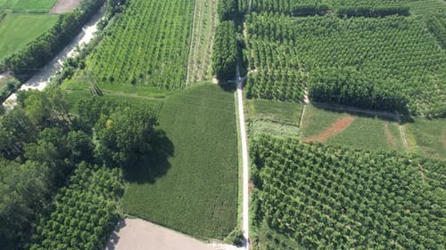 Aerial View of Cultivated Farmland and Country Road