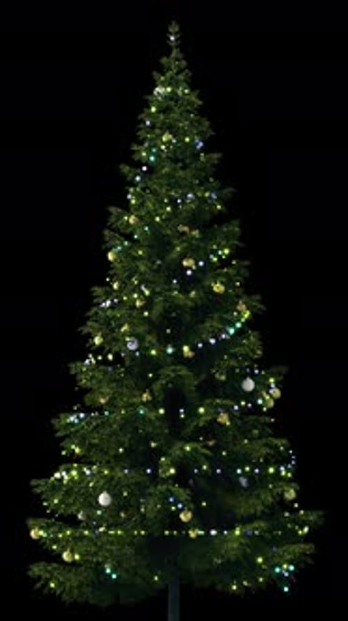 A Christmas tree illuminated with lights and ornaments rotating on a transparent alpha channel