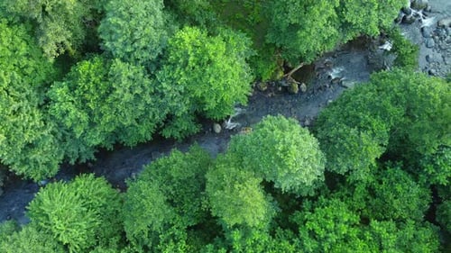 Drone's camera moves forward over mountain river surrounded by lush green forest
