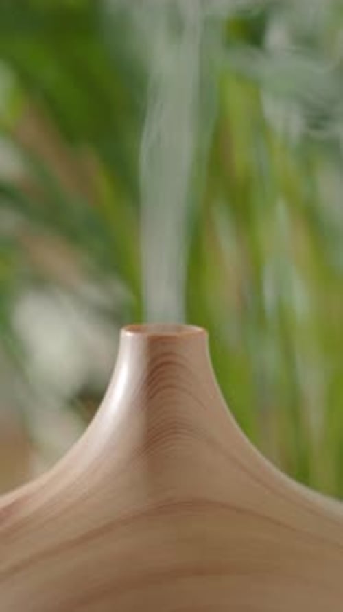Essential Oil Diffuser Releasing Vapor in Home