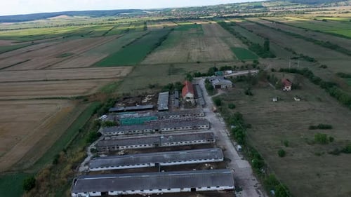 Survol d'une ferme biologique, d'une étable de campagne, de hangars, de vaches laitières, de champs agricoles biologiques