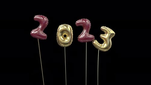 Animated 2024 New Year Foil Balloon Numbers